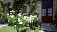 Chenonceau, Garten 2 &ndash; &copy; Katrin Kerpa (Eberhardt TRAVEL)