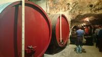 cavepereauguste (6) &ndash; &copy; Katrin Kerpa (Eberhardt TRAVEL)