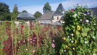 cheverny (7) &ndash; &copy; Katrin Kerpa (Eberhardt TRAVEL)