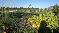 Villandry (31) &ndash; &copy; Katrin Kerpa (Eberhardt TRAVEL)