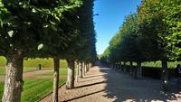 villandry (1) &ndash; &copy; Katrin Kerpa (Eberhardt TRAVEL)