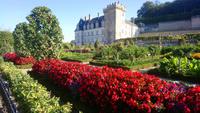 villandry (3) &ndash; &copy; Katrin Kerpa (Eberhardt TRAVEL)