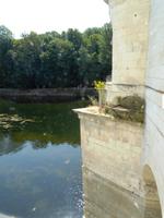 Schloss Chenonceau &ndash; &copy; Alexandra Jordan (Eberhardt TRAVEL)