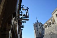 Blick nach oben &ndash; &copy; Gina Egenolf (Eberhardt TRAVEL)