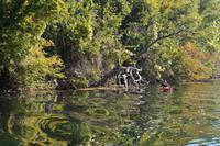 schon ein wenig Herbst &ndash; &copy; Gina Egenolf (Eberhardt TRAVEL)