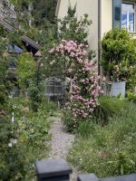 Blumengarten bei Unterseen &ndash; &copy; Sabine Möllering-Stork (Eberhardt TRAVEL)