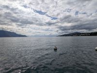 Blick über den Genfer See &ndash; &copy; Sabine Möllering-Stork (Eberhardt TRAVEL)