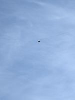 Der berühmte Stern über der Schlucht  &ndash; &copy; Sabine Möllering-Stork (Eberhardt TRAVEL)