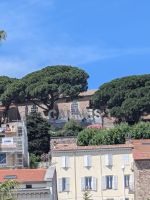 Cannes &ndash; &copy; Sabine Möllering-Stork (Eberhardt TRAVEL)