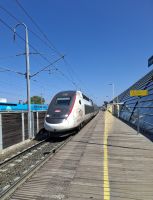 TGV Avignon bei der Ankunft &ndash; &copy; Alexander Sabo (Eberhardt TRAVEL)