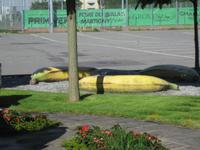 Kunstmeile in Martigny &ndash; &copy; Volker Jungklaus (Eberhardt TRAVEL)