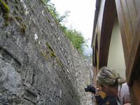 80% Steigung &ndash; &copy; Volker Jungklaus (Eberhardt TRAVEL)