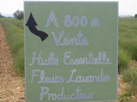 Lavendel &ndash; &copy; Volker Jungklaus (Eberhardt TRAVEL)