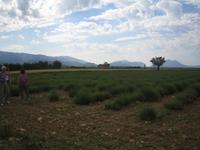 ebenso &ndash; &copy; Volker Jungklaus (Eberhardt TRAVEL)