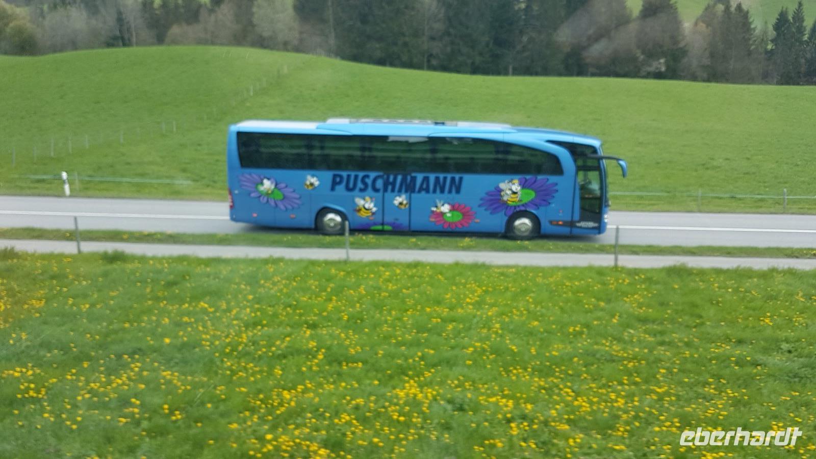 Unser Biene Maja Bus &ndash; &copy; Alexandre de Bordelius (Eberhardt TRAVEL)