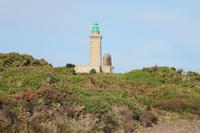 IMG_1619_Cap Fréhel &ndash; &copy; Alice Teipelke (Eberhardt TRAVEL)