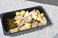 Zitrone muss sein &ndash; &copy; Gina Egenolf (Eberhardt TRAVEL)
