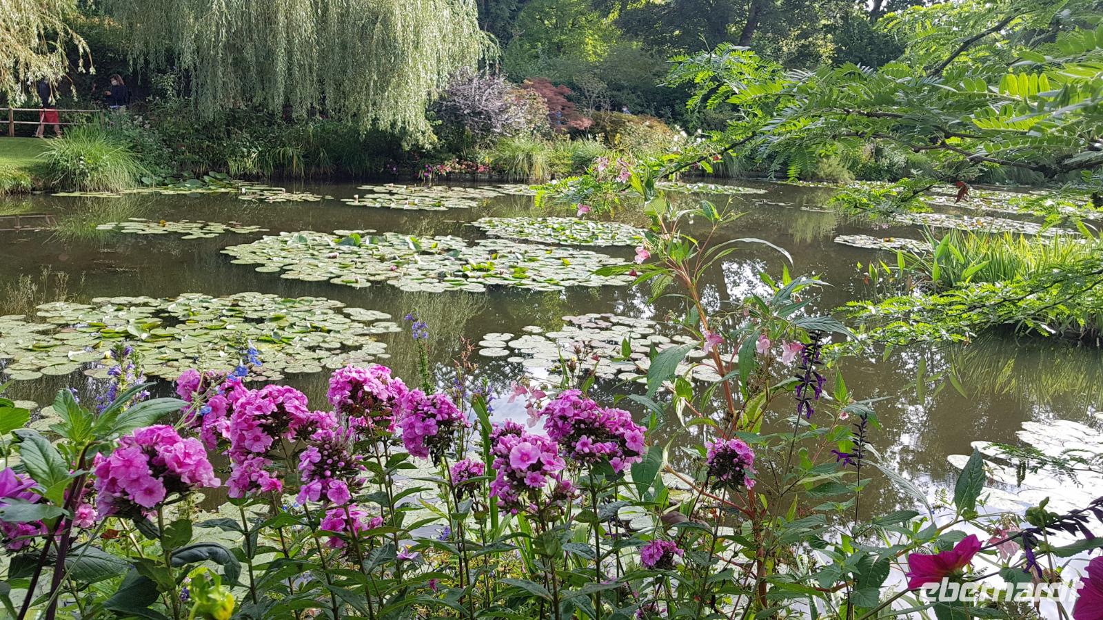 Giverny, Garten von Claude Monet, Wassergarten &ndash; &copy; Beate Schroedter (Eberhardt TRAVEL)