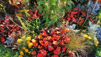 Le Havre, Jardins Suspendus &ndash; &copy; Beate Schroedter (Eberhardt TRAVEL)