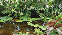 Le Havre, Jardins Suspendus, Gewächshäuser