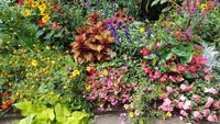 Coutances, Jardin des Plantes &ndash; &copy; Beate Schroedter (Eberhardt TRAVEL)
