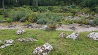 Orleans, Parc Floral de la Source &ndash; &copy; Beate Schroedter (Eberhardt TRAVEL)
