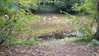 Orleans, Parc Floral de la Source &ndash; &copy; Beate Schroedter (Eberhardt TRAVEL)