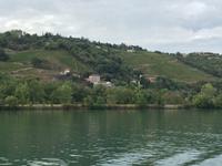 IMG 3657,  Fahrt nach Viviers &ndash; &copy; Claudia Hartwich (Eberhardt TRAVEL)