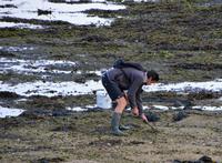 Muschelsucher? &ndash; &copy; Gina Egenolf (Eberhardt TRAVEL)