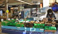 frische Austern und Muscheln &ndash; &copy; Gina Egenolf (Eberhardt TRAVEL)