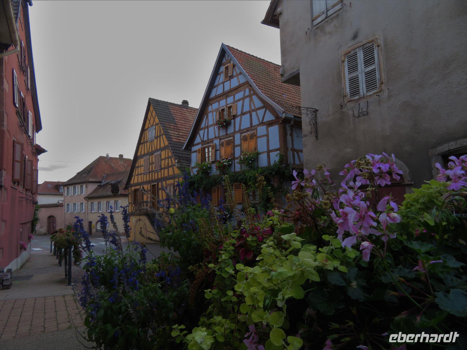 Elsass 09.2020  St. Hippolyte &ndash; &copy; Gabriele Sauer (Eberhardt TRAVEL)