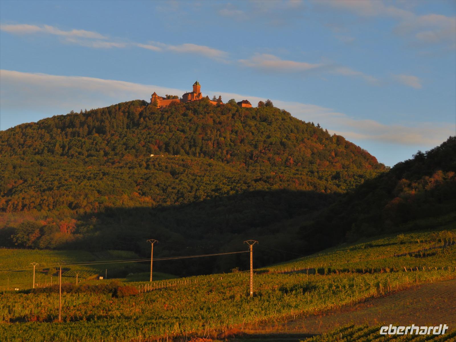 Elsass 09.2020  Hohkönigsburg &ndash; &copy; Gabriele Sauer (Eberhardt TRAVEL)