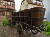 Elsass 09.2020  Eguisheim &ndash; &copy; Gabriele Sauer (Eberhardt TRAVEL)