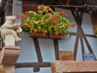 Elsass 09.2020 Dambach- la- Ville &ndash; &copy; Gabriele Sauer (Eberhardt TRAVEL)