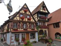 Elsass 09.2020 Dambach- la- Ville &ndash; &copy; Gabriele Sauer (Eberhardt TRAVEL)