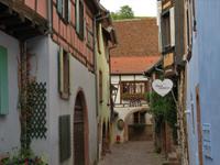 Elsass 09.2020 Riquewihr &ndash; &copy; Gabriele Sauer (Eberhardt TRAVEL)