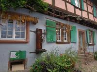 Elsass 09.2020 Riquewihr &ndash; &copy; Gabriele Sauer (Eberhardt TRAVEL)