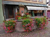 Elsass 09.2020 Riquewihr &ndash; &copy; Gabriele Sauer (Eberhardt TRAVEL)