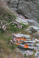 IMG_1227_1_Pointe du Raz &ndash; &copy; Alice Teipelke (Eberhardt TRAVEL)