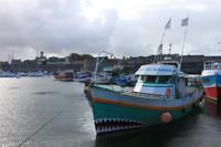 IMG_1236_Boot im Inneren Hafen von Concarneau &ndash; &copy; Alice Teipelke (Eberhardt TRAVEL)