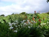 Tag 8 - 2 - Besichtigung des Garten von Vauville (3) &ndash; &copy; Sabine Heitzer (Eberhardt TRAVEL)