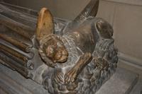 der Löwe ist dabei &ndash; &copy; Gina Egenolf (Eberhardt TRAVEL)