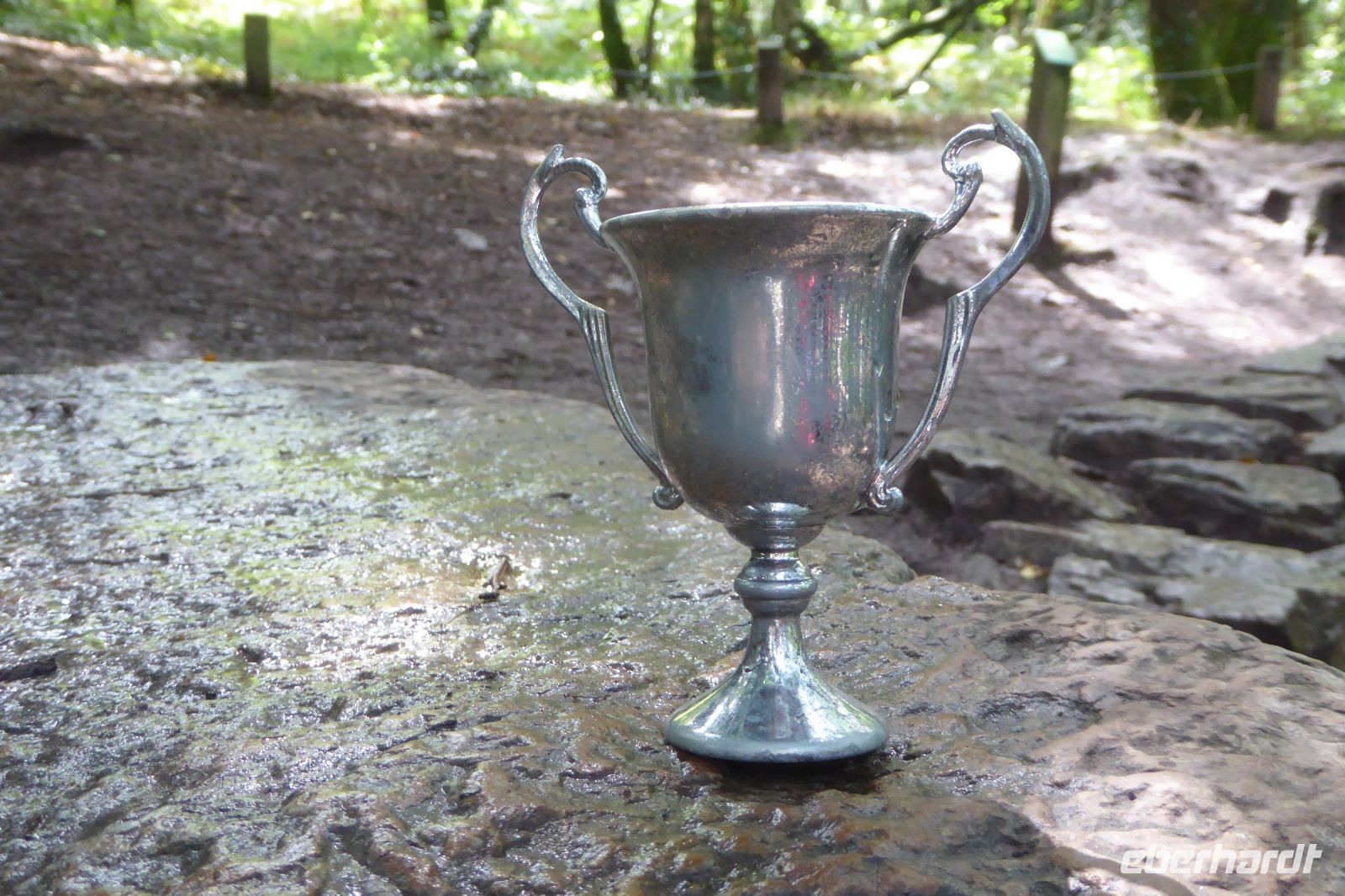 Tag 3 Wanderung im Wald von Brocéliande, der heilige Gral? &ndash; &copy; Gabriele Sauer (Eberhardt TRAVEL)