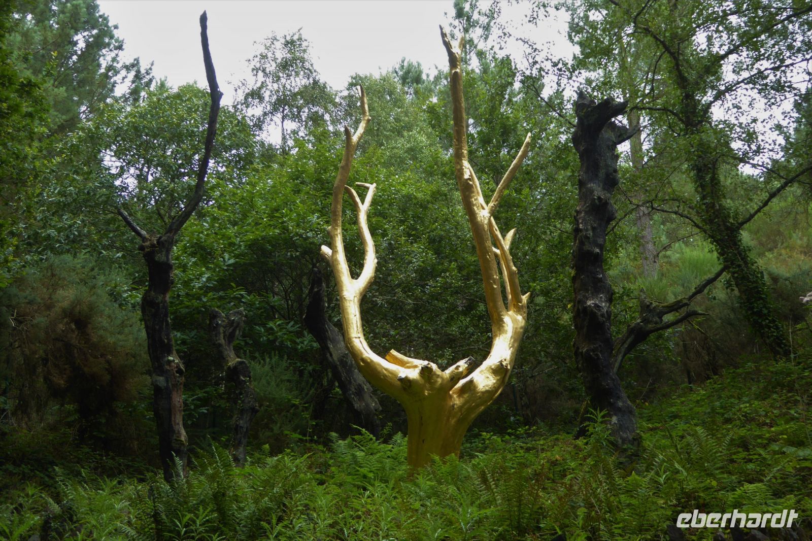 Tag 3 Wanderung im Wald von Brocéliande, Der goldene Baum vom Francois Davin &ndash; &copy; Gabriele Sauer (Eberhardt TRAVEL)