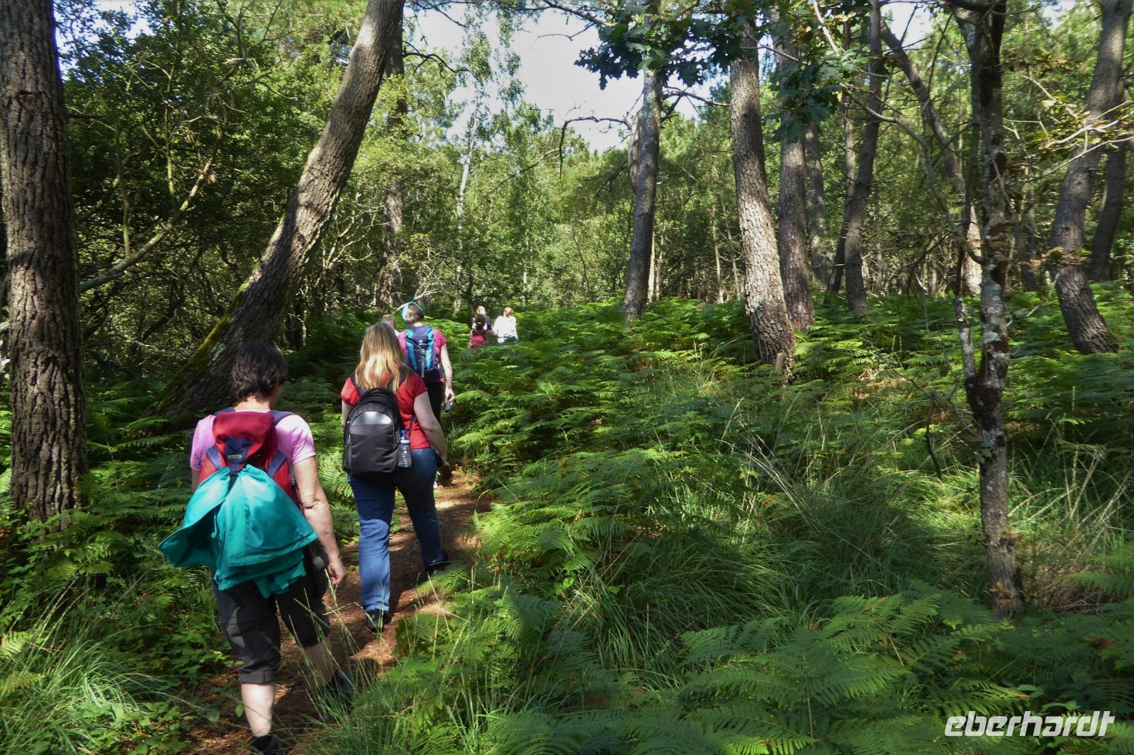 Tag 4 Wanderung von Crucuno nach Erdeven &ndash; &copy; Gabriele Sauer (Eberhardt TRAVEL)