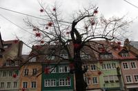 Freiburger 