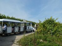 Dambach la Ville &ndash; &copy; Kerstin Hugel (Eberhardt TRAVEL)