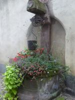 Riquewihr &ndash; &copy; Kerstin Hugel (Eberhardt TRAVEL)