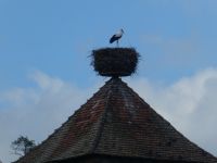 Kaysersberg &ndash; &copy; Kerstin Hugel (Eberhardt TRAVEL)