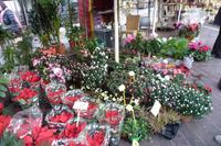 Blumenmarkt von Nizza &ndash; &copy; Vicky Kern (Eberhardt TRAVEL)